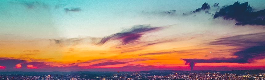 博罗茶虫网_博罗品茶